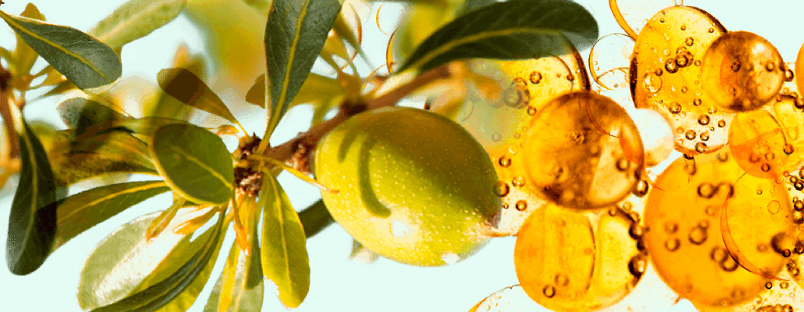 Get Strong Healthy Skin with our Patented Argania Active Complex™