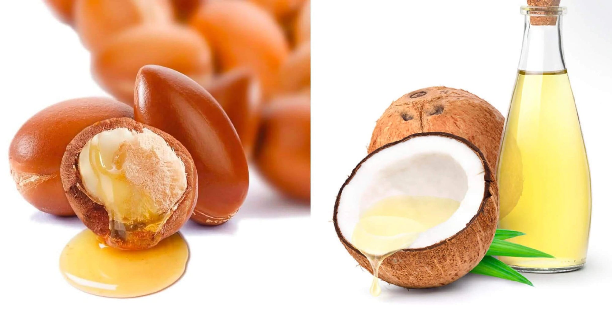 Argan Oil vs. Coconut Oil
